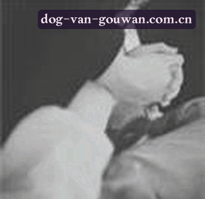 陈明